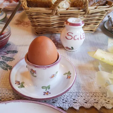 Farm stay Fetznhof *